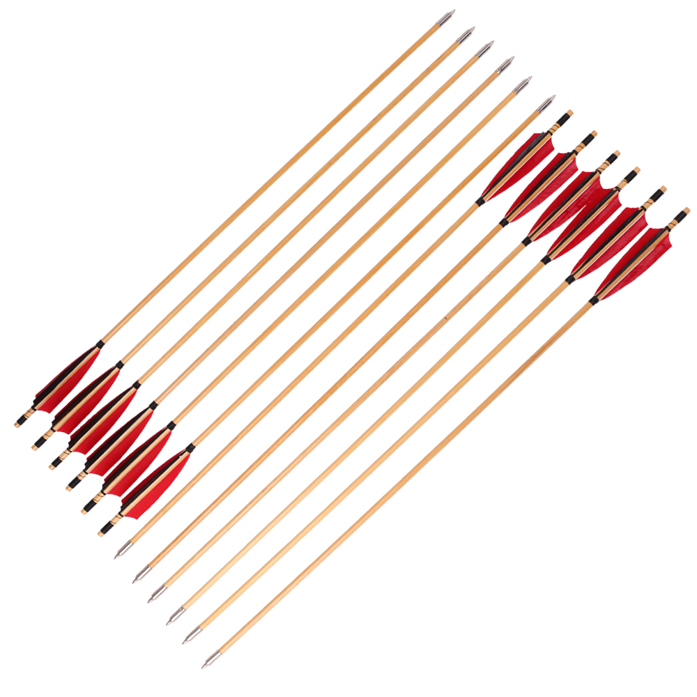 6/12/24 Viên Gỗ Truyền Thống M - đánh giá và giá Archery Target Face