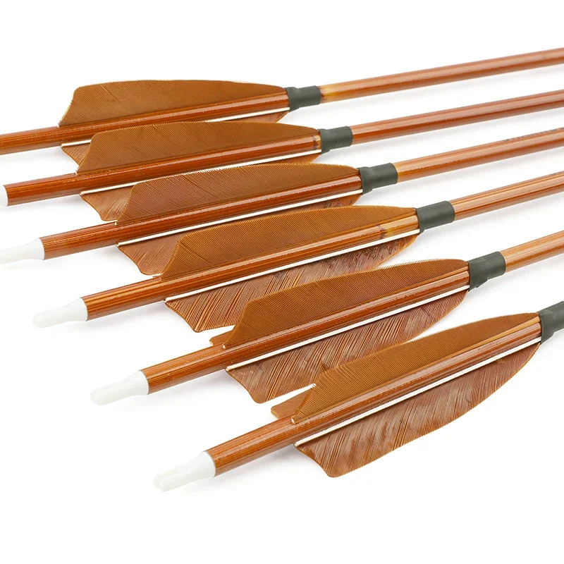 6/12pcs Mixed Carbon Arrows SP - đánh giá và giá Archery Target Face