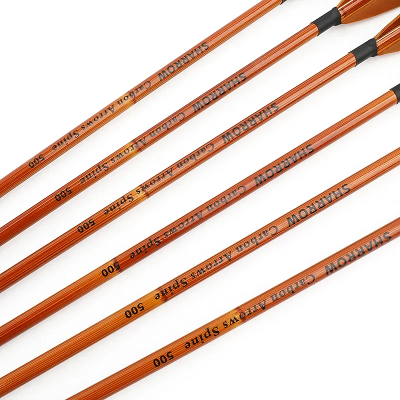 6/12pcs Mixed Carbon Arrows SP - đánh giá và giá Archery Target Face