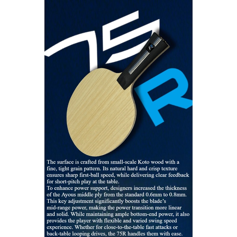 SANWEI 75R 5+2 Outer H-GLC Tab - đánh giá và giá Table Tennis Paddle